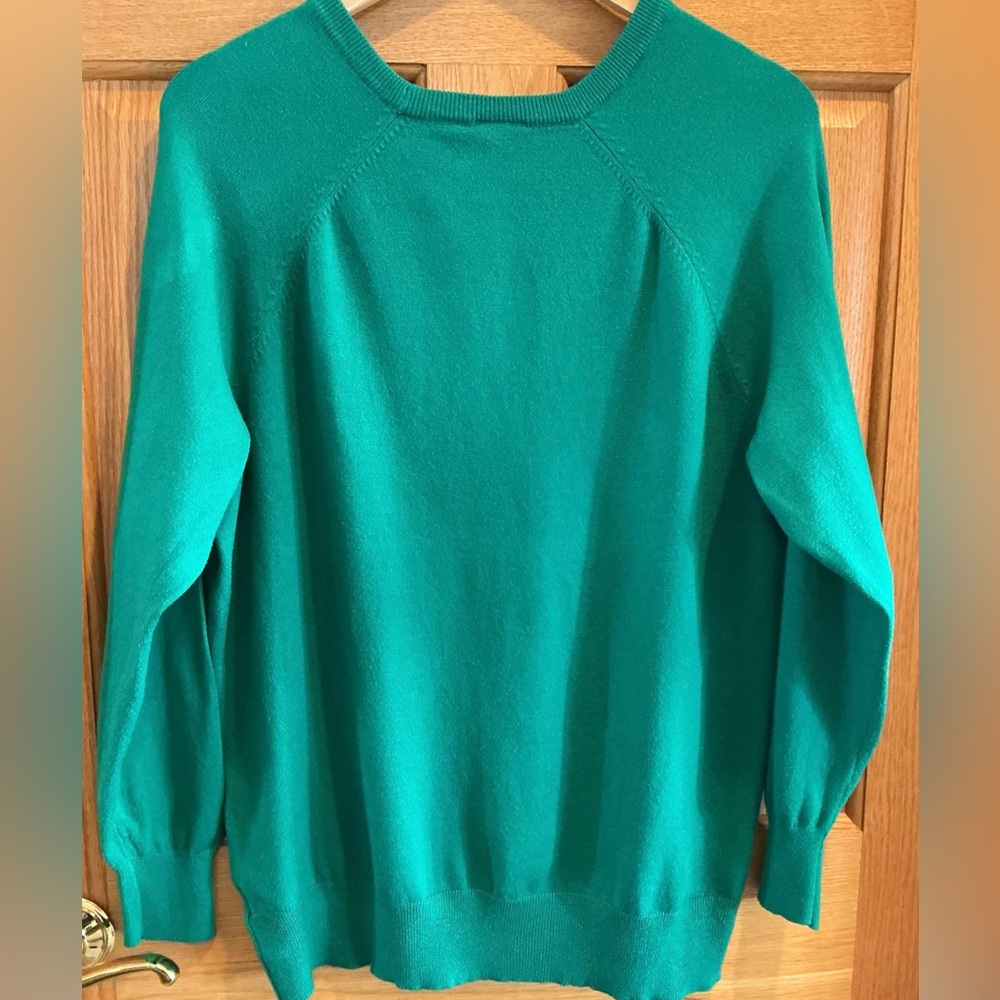 Torrid Everyday Soft Emerald Green Crewneck Sweater Raglan Sleeves Size 1X - Picture 3 of 5